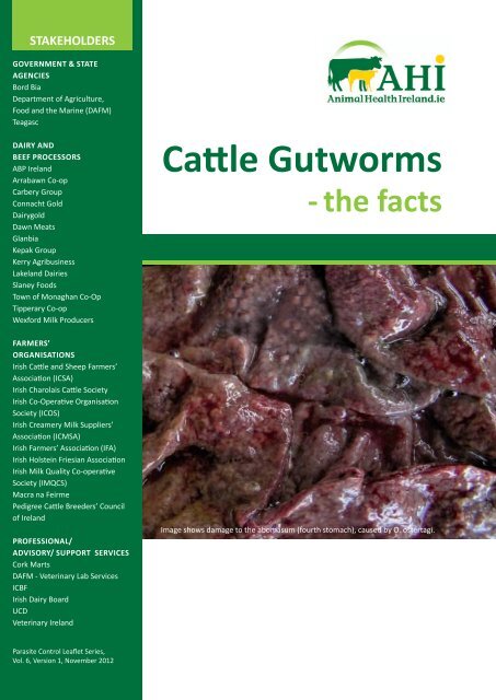 Cattle Gutworms - Animal Health Ireland