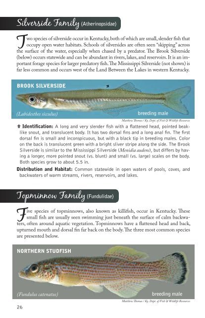 Kentucky Fishes