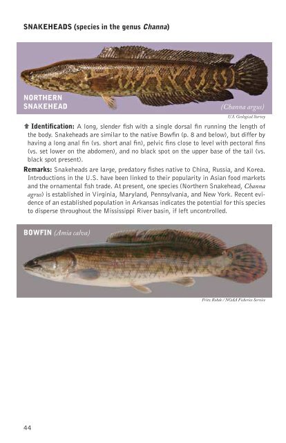 Kentucky Fishes