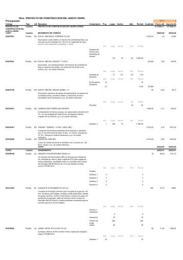 Obra PROYECTO DE CONSTRUCCION DEL NUEVO CERRU Presupuesto