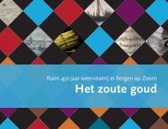 Het zoute goud