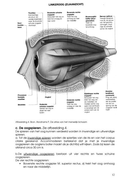 Het Oog