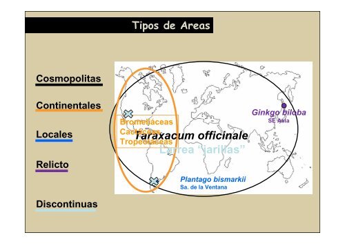 Fitogeografía