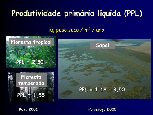 Os Sapais e a Biodiversidade