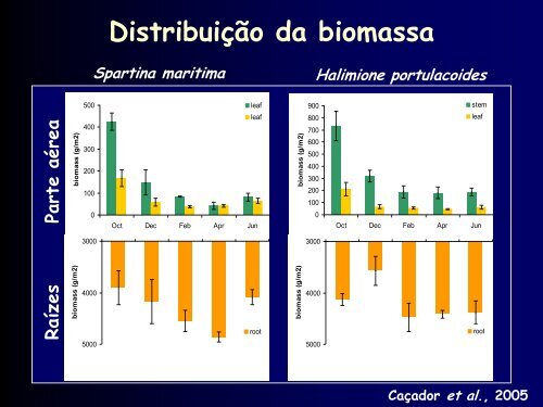 Os Sapais e a Biodiversidade