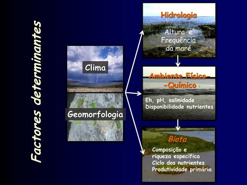 Os Sapais e a Biodiversidade