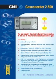 GMI Gascoseeker 2-500-Datasheet.pdf - Ribble Enviro Ltd