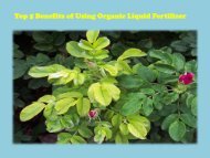 Organic Liquid Fertilizer