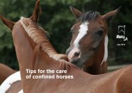 Tips for the care of confined horses