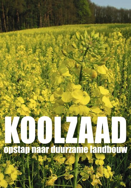 KOOLZAAD