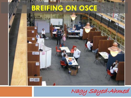 BREIFING ON OSCE