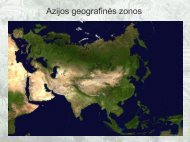 Azijos geografinės zonos