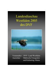 Urkunden - DVF Landesverband Westfalen