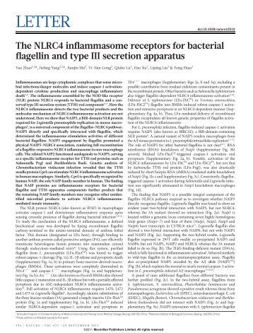 The NLRC4 inflammasome receptors for bacterial flagellin and type ...