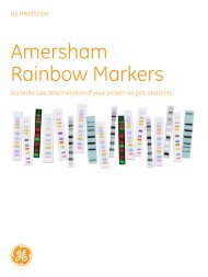 Amersham Rainbow Markers