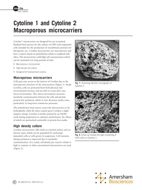 Cytoline 1 and Cytoline 2 Macroporous microcarriers