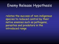 Enemy Release Hypothesis