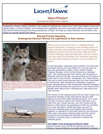 Beyond Priority Boarding Endangered Mexican Wolves ... - LightHawk