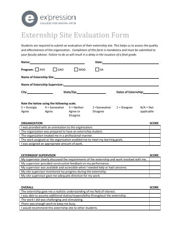 Website evaluation essay
