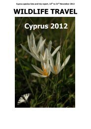 WILDLIFE TRAVEL Cyprus 2012