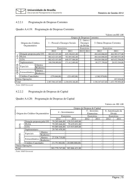 Relatorio Gestao 201.. - Decanato de Planejamento e OrÃ§amento