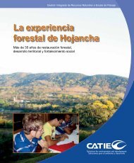 La experiencia forestal de Hojancha