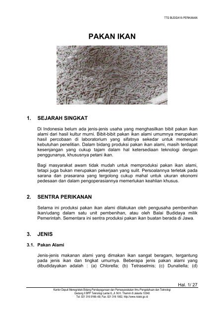 Pakan Ikan