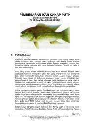 PEMBESARAN IKAN KAKAP PUTIH