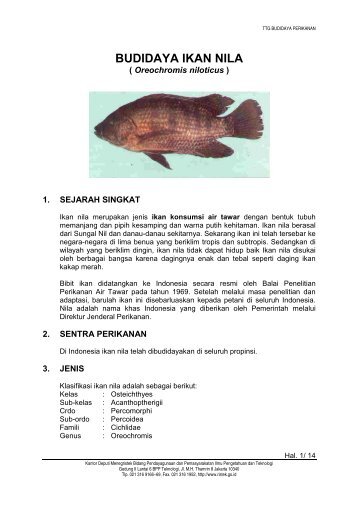 BUDIDAYA IKAN NILA