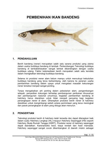 PEMBENIHAN IKAN BANDENG
