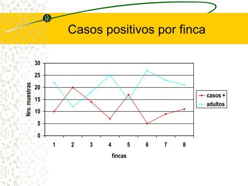 presentación tesis (Dermatobia hominis).pdf