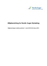 Miljøberetning for Nordic Sugar Nykøbing