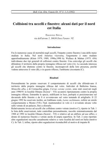 Collisioni tra uccelli e finestre alcuni dati per il nord est Italia