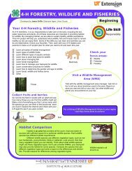 4-H FORESTRY WILDLIFE AND FISHERIES wildlife resources mature similarities