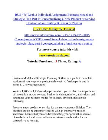 individual strategic plan conceptualizing a business individual strategic plan conceptualizing a business