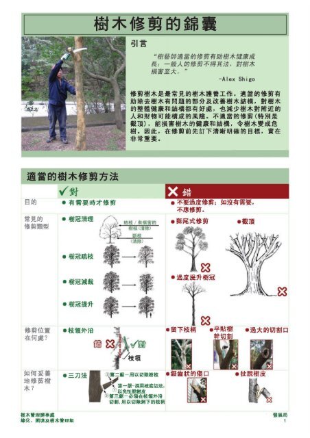 樹木修剪的錦囊(小冊子) (PDF) - 綠化工作