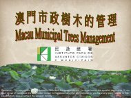 Tree Management in Macao 澳門市政樹木之管理 - 綠化工作