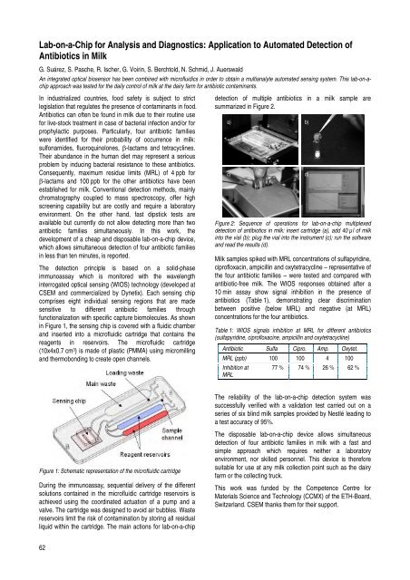 CSEM Scientific and Technical Report 2008