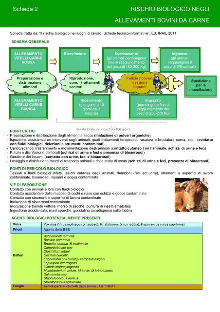 Scheda 2 RISCHIO BIOLOGICO NEGLI ALLEVAMENTI BOVINI DA CARNE