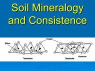 Soil Mineralogy and Consistence
