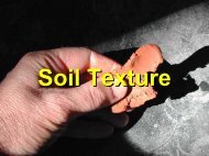 Soil Texture