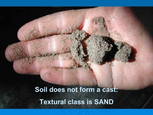 Soil Texture