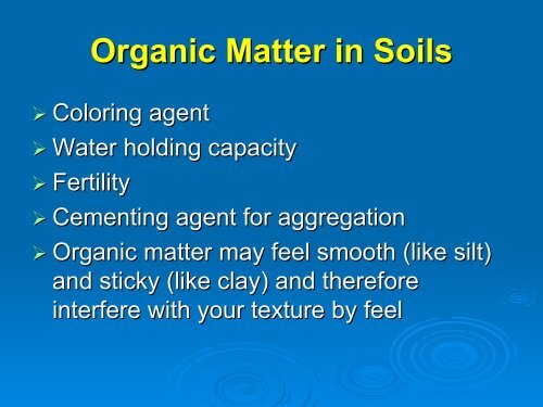 Soil Texture