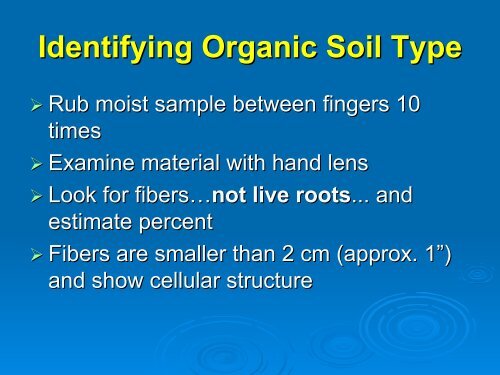 Soil Texture