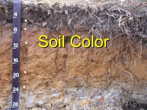 Soil Color
