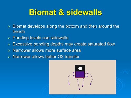 Water Movement in Soil