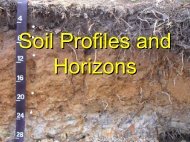 Soil Profiles and Horizons