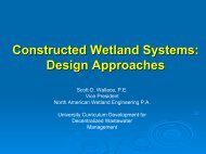 Constructed Wetland Systems Design Approaches