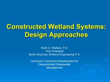 Constructed Wetland Systems Design Approaches