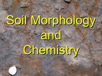 Soil Morphology and Chemistry